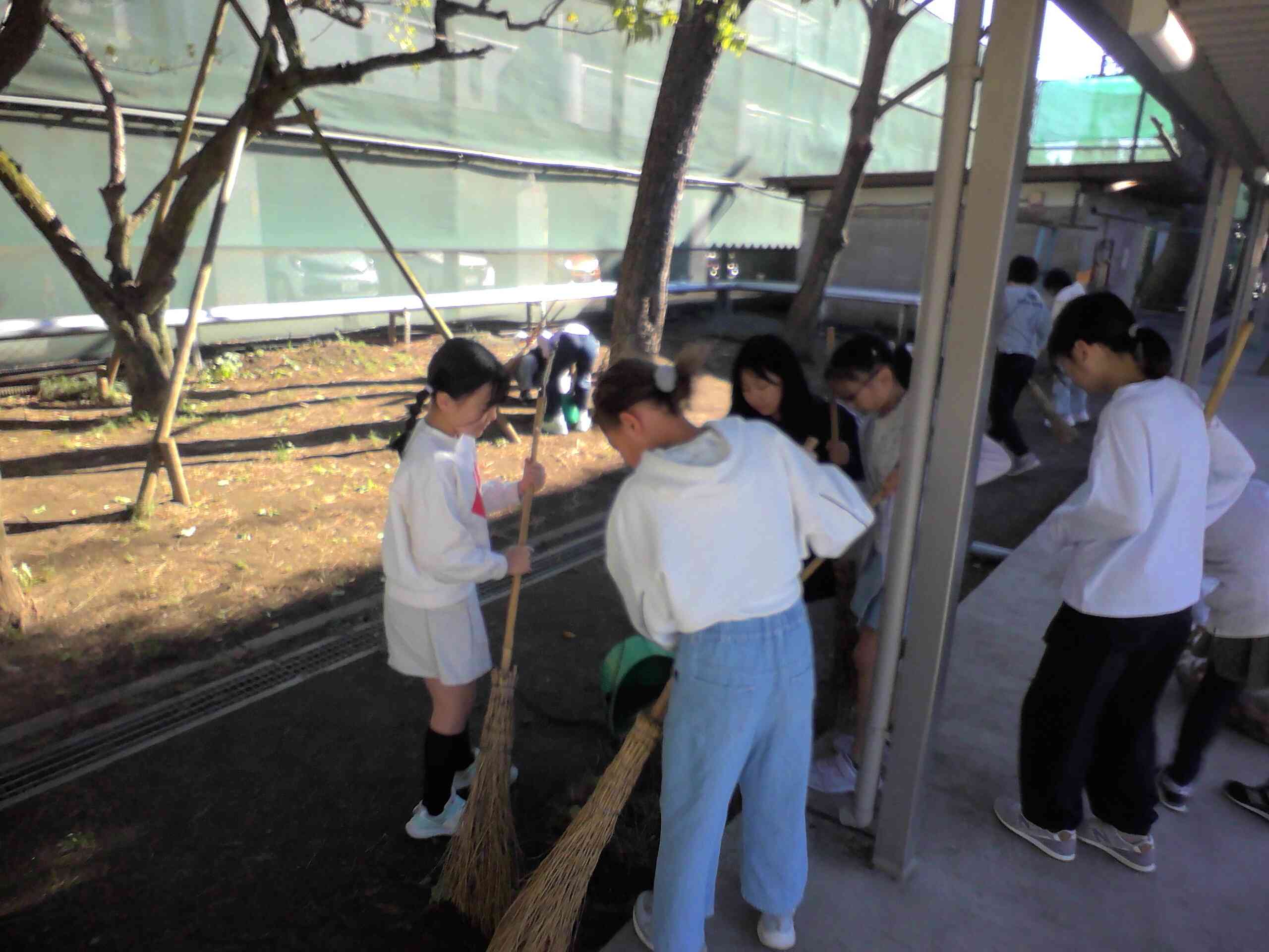 IMG_20261028_141127